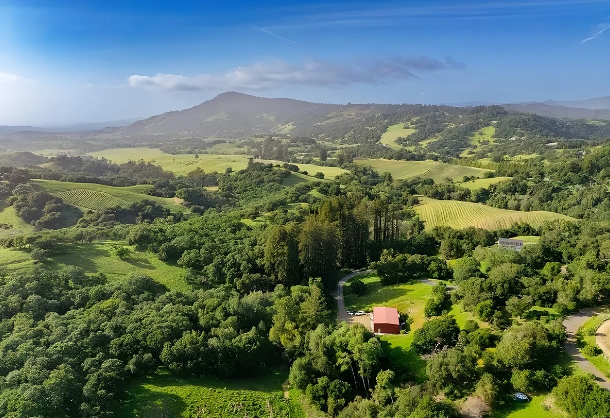 3803 Matanzas Creek Lane, view 1