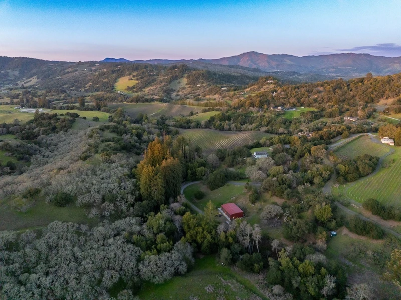 3803 Matanzas Creek Lane, view 3