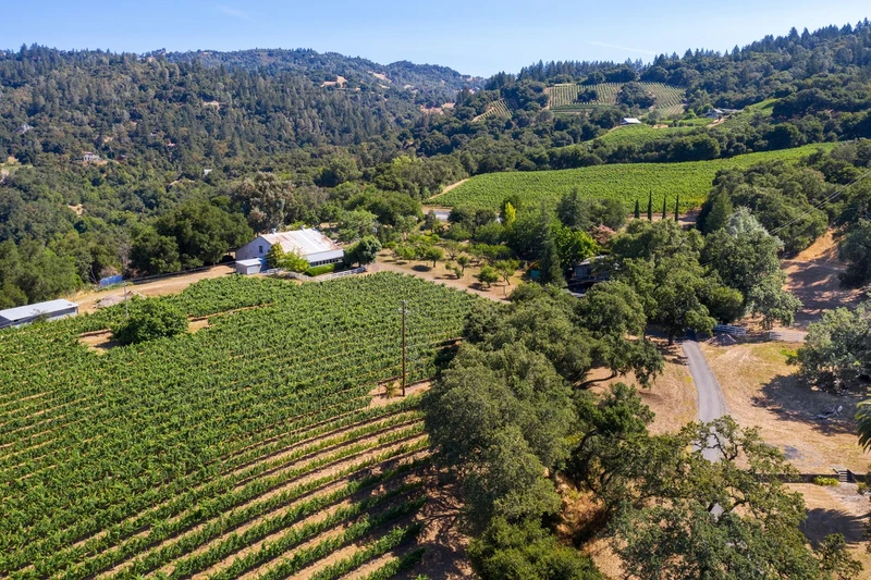 Vineyards And Vistas, view 12