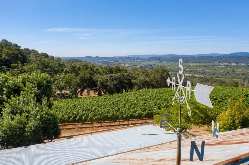 Vineyards And Vistas, view 13