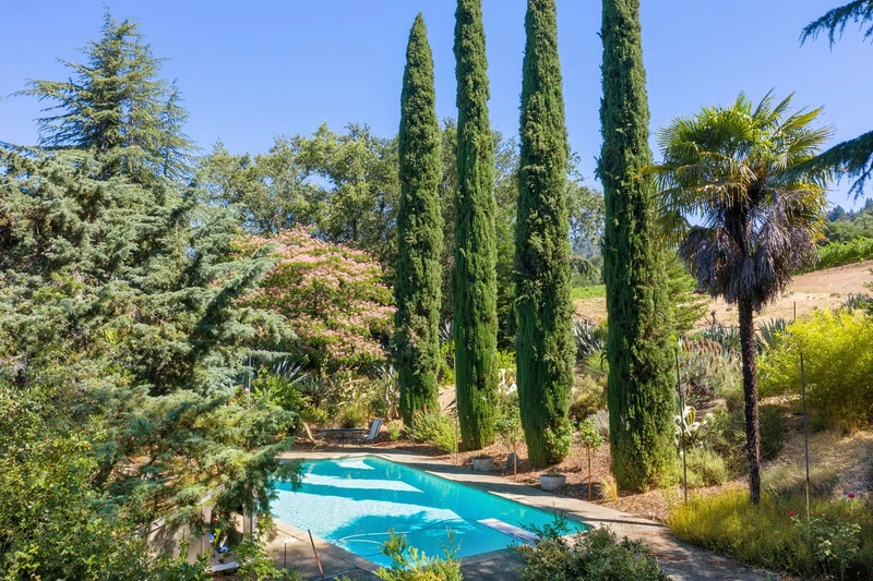 Vineyards And Vistas, view 14