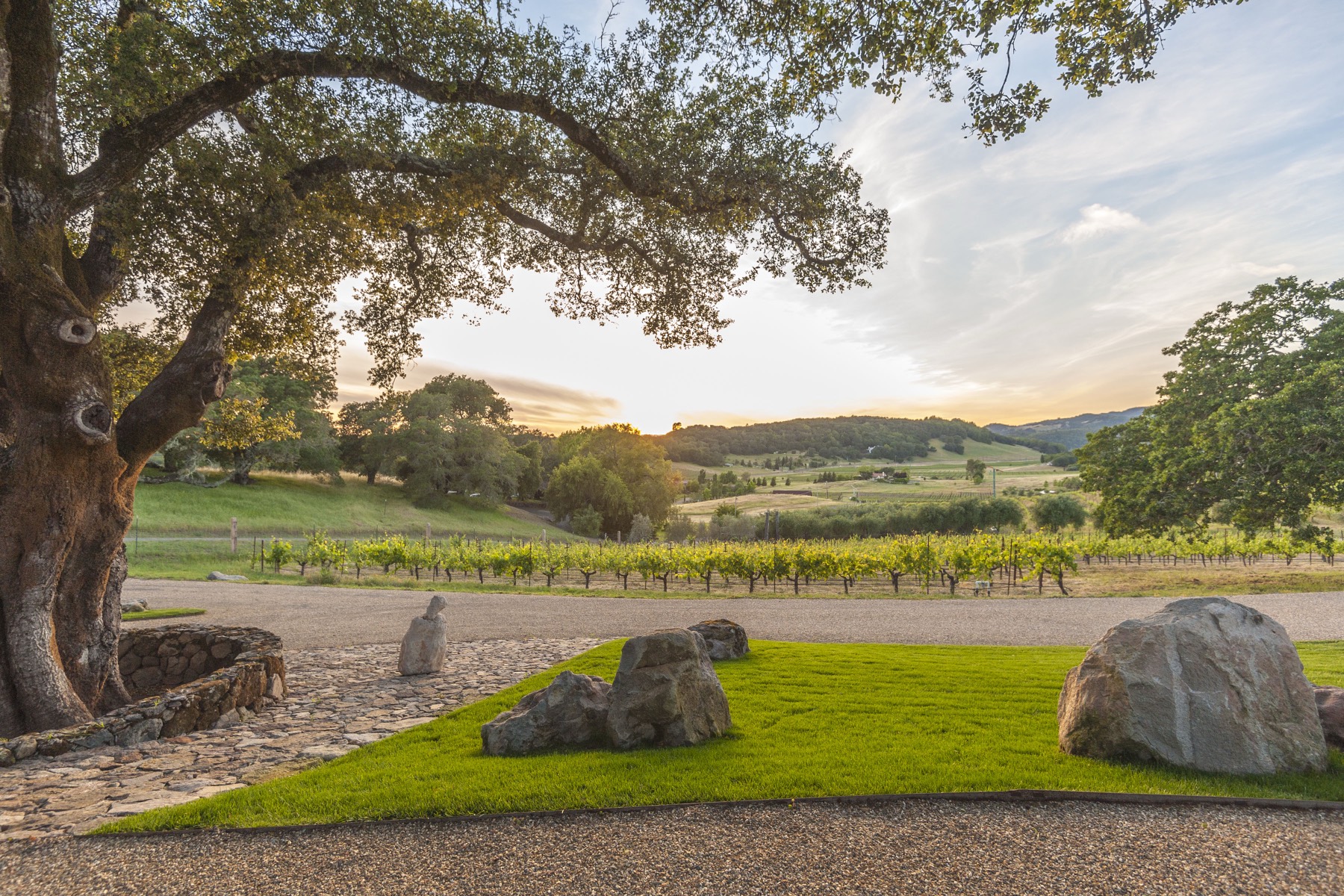 Sonoma & Napa wine country